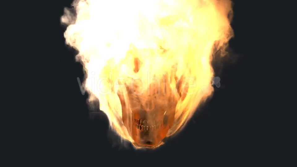 Burning Skull with Alpha Channel Videohive 19027390 Motion Graphics Image 5