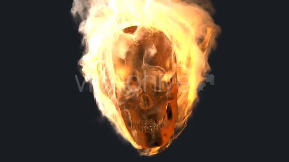 Burning Skull with Alpha Channel Videohive 19027390 Motion Graphics Image 6