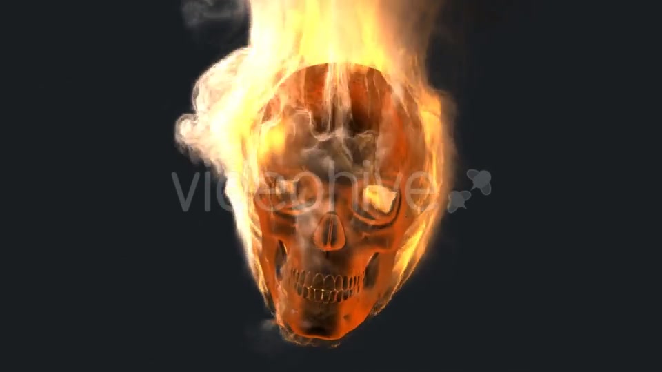 Burning Skull with Alpha Channel Videohive 19027390 Motion Graphics Image 7