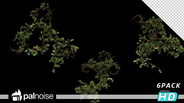 Bush Ivy Branch & Leaves (6 Pack) - Videohive Download 13110022
