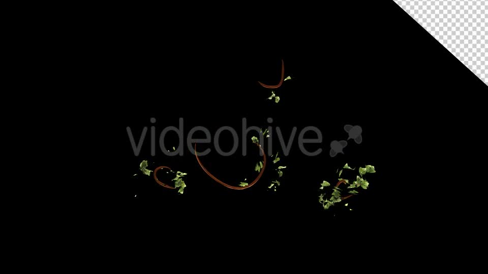 Bush Ivy Growth Videohive 13098867 Motion Graphics Image 11