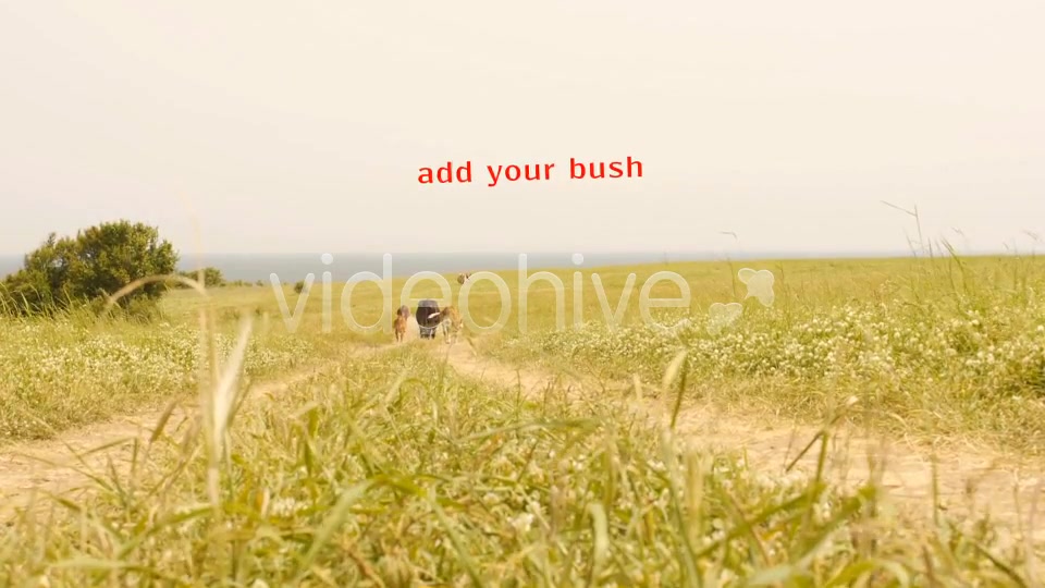 Bush Looped Type 3 Videohive 6767160 Motion Graphics Image 7