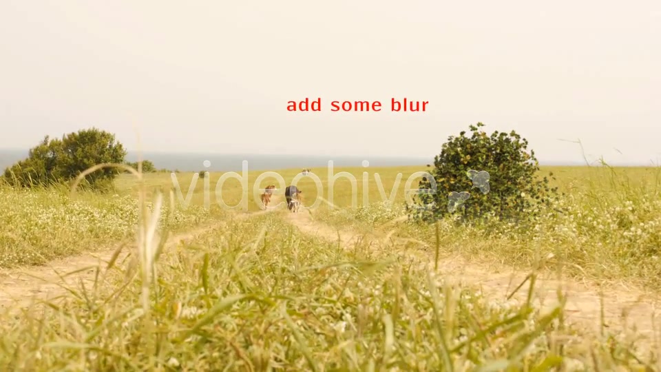 Bush Looped Type 3 Videohive 6767160 Motion Graphics Image 8