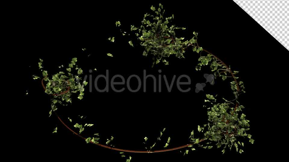 Bush Vegetation Frame Videohive 13090981 Motion Graphics Image 10