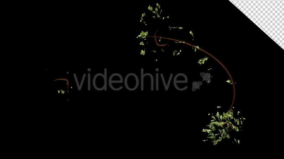 Bush Vegetation Frame Videohive 13090981 Motion Graphics Image 11