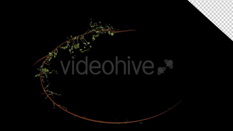 Bush Vegetation Frame Videohive 13090981 Motion Graphics Image 2