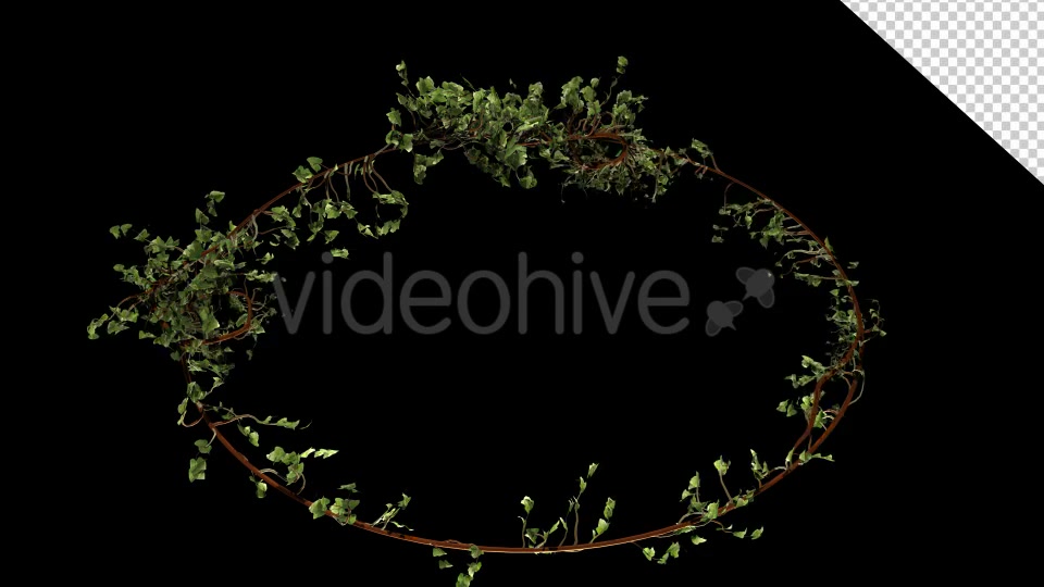 Bush Vegetation Frame Videohive 13090981 Motion Graphics Image 3