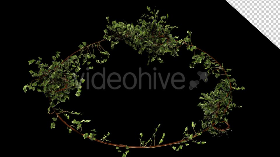 Bush Vegetation Frame Videohive 13090981 Motion Graphics Image 4