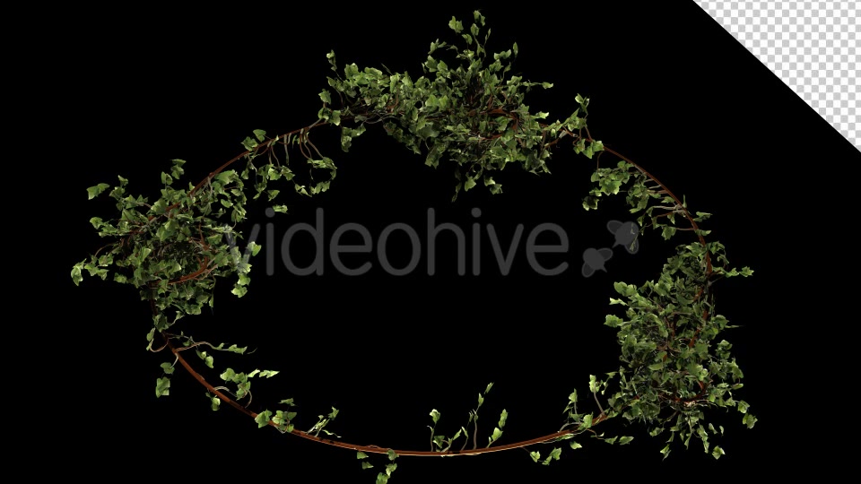 Bush Vegetation Frame Videohive 13090981 Motion Graphics Image 5