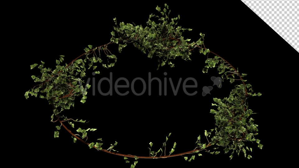 Bush Vegetation Frame Videohive 13090981 Motion Graphics Image 6