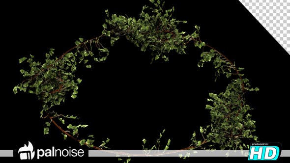 Bush Vegetation Frame - 13090981 Videohive Download