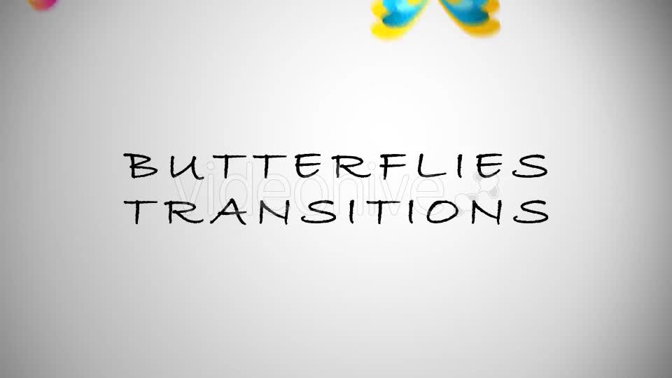 Butterfliers Transitions Videohive 15644135 Motion Graphics Image 1