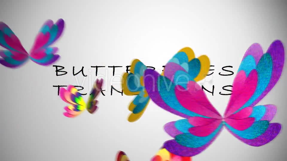 Butterfliers Transitions Videohive 15644135 Motion Graphics Image 2
