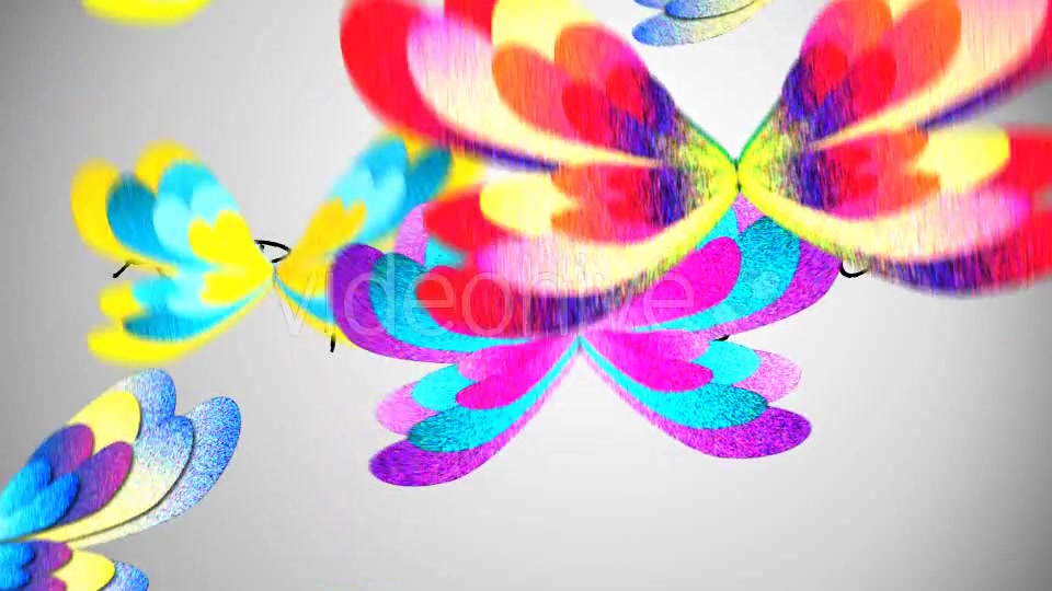 Butterfliers Transitions Videohive 15644135 Motion Graphics Image 7
