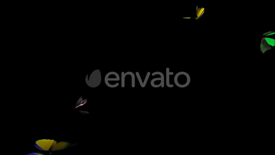 Butterflies Arrived Videohive 21830043 Motion Graphics Image 1