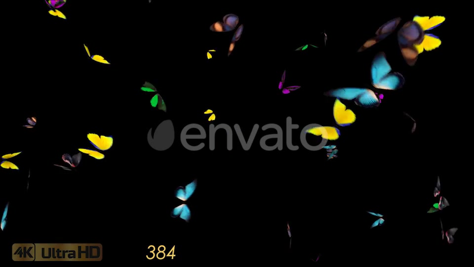 Butterflies Arrived Videohive 21830043 Motion Graphics Image 2