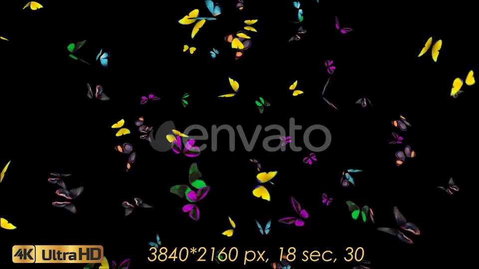 Butterflies Arrived Videohive 21830043 Motion Graphics Image 3