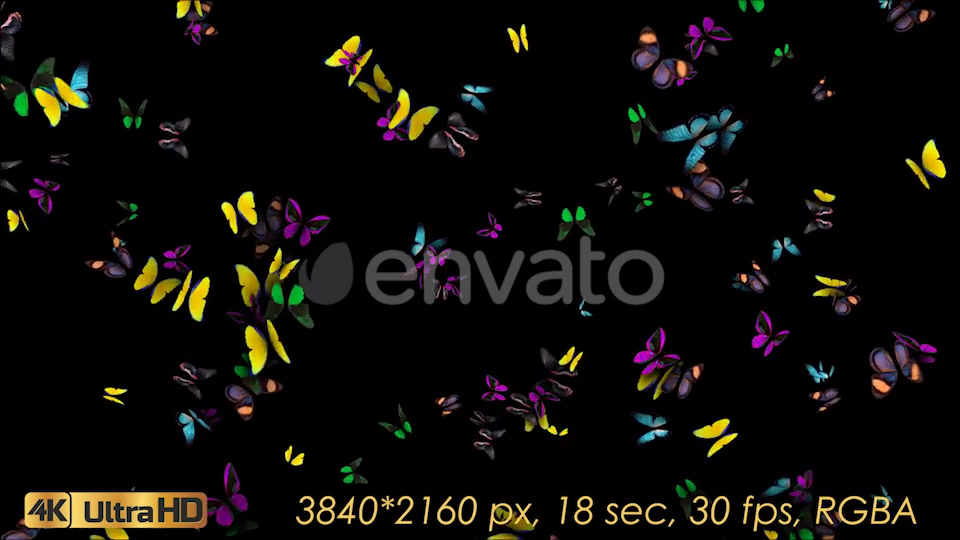 Butterflies Arrived Videohive 21830043 Motion Graphics Image 5