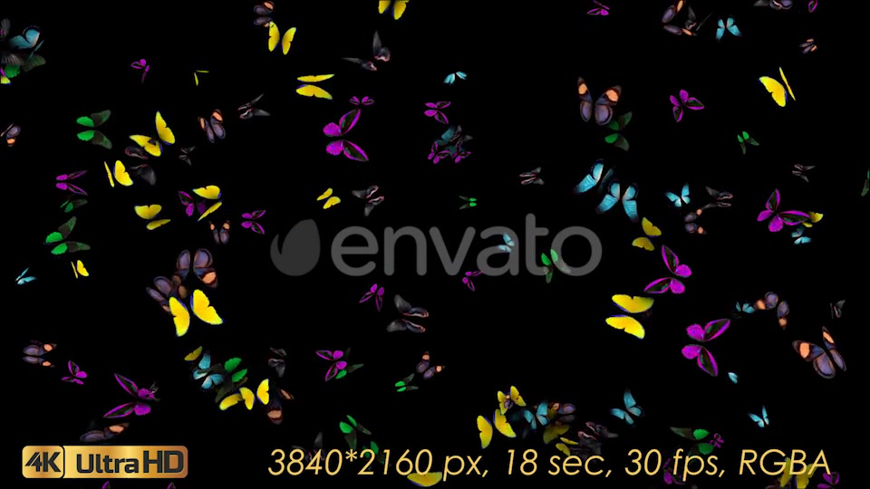 Butterflies Arrived Videohive 21830043 Motion Graphics Image 6