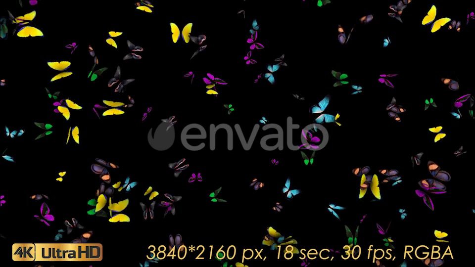 Butterflies Arrived Videohive 21830043 Motion Graphics Image 7