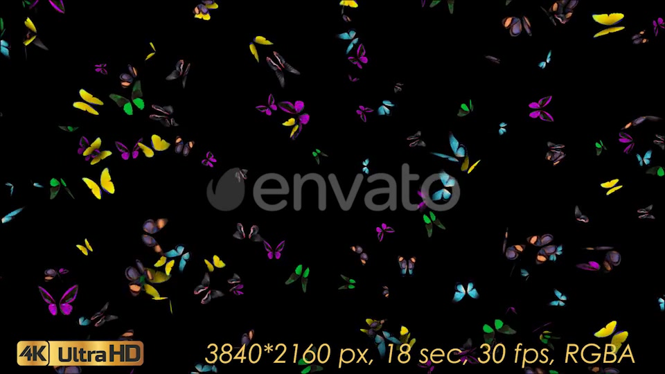 Butterflies Arrived Videohive 21830043 Motion Graphics Image 8