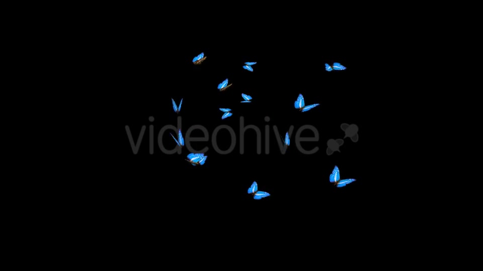 Butterflies Blue Charaxes Swarm Resizable Loop Videohive 20957743 Motion Graphics Image 10
