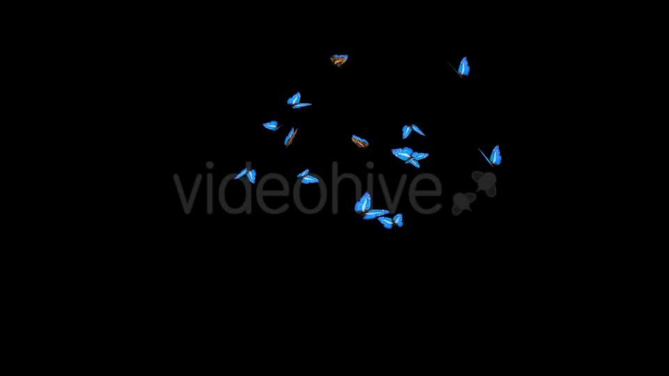 Butterflies Blue Swarm Resizable Loop 4K Videohive 20957806 Motion Graphics Image 1