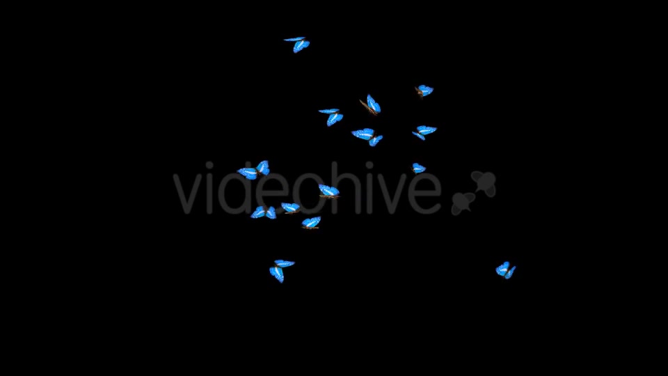 Butterflies Blue Swarm Resizable Loop 4K Videohive 20957806 Motion Graphics Image 10