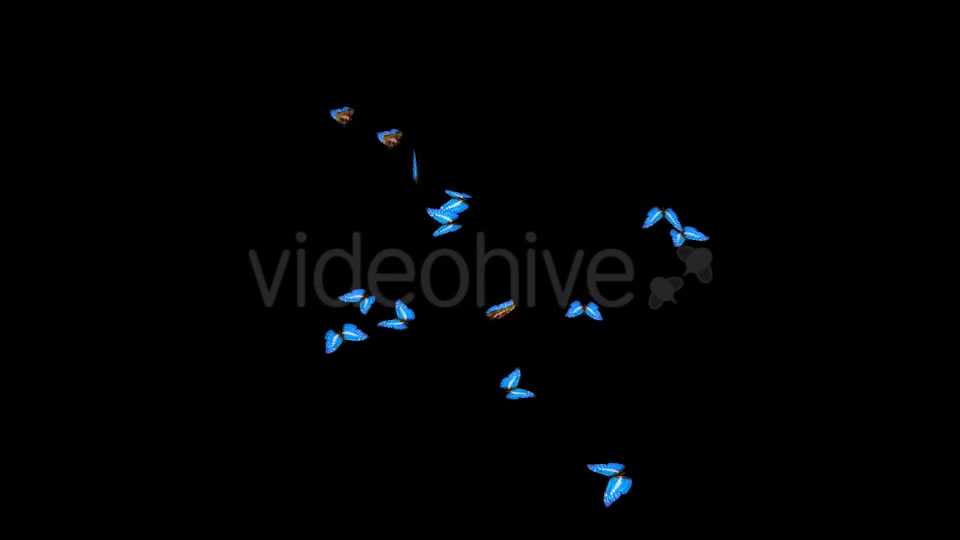 Butterflies Blue Swarm Resizable Loop 4K Videohive 20957806 Motion Graphics Image 2