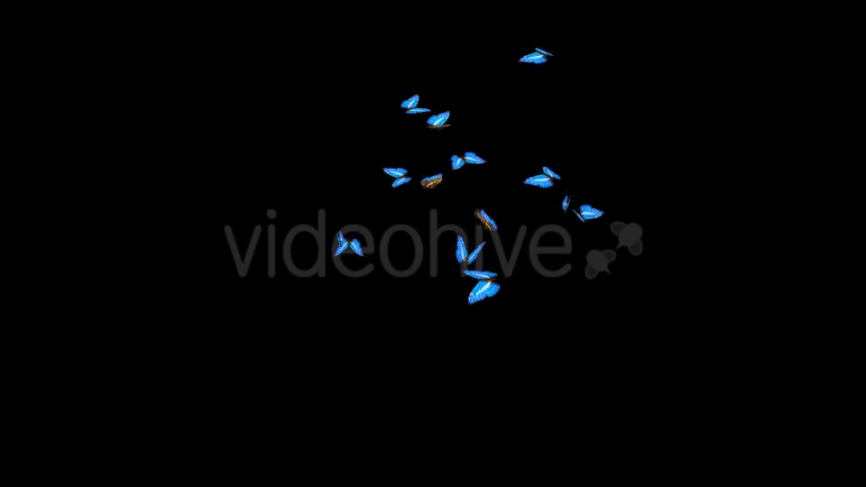 Butterflies Blue Swarm Resizable Loop 4K Videohive 20957806 Motion Graphics Image 4