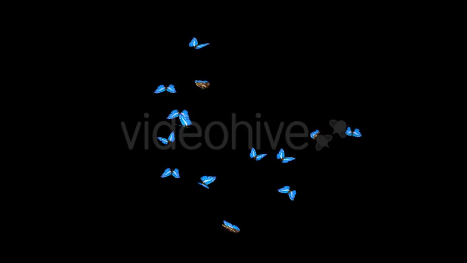 Butterflies Blue Swarm Resizable Loop 4K Videohive 20957806 Motion Graphics Image 5