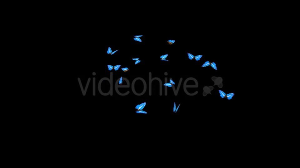 Butterflies Blue Swarm Resizable Loop 4K Videohive 20957806 Motion Graphics Image 9