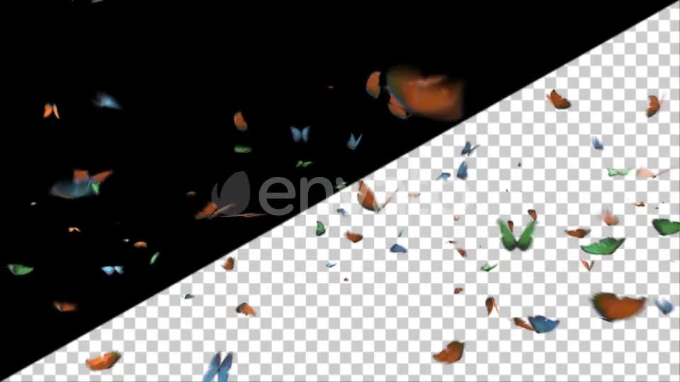 Butterflies Videohive 25132678 Motion Graphics Image 1