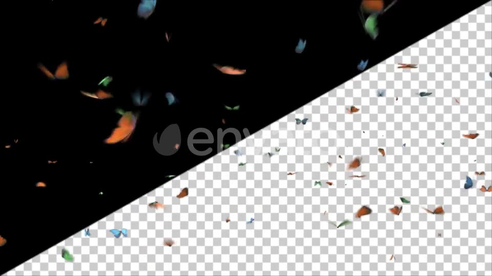 Butterflies Videohive 25132678 Motion Graphics Image 2