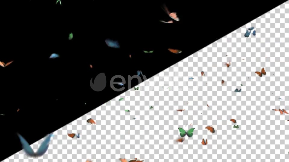 Butterflies Videohive 25132678 Motion Graphics Image 3