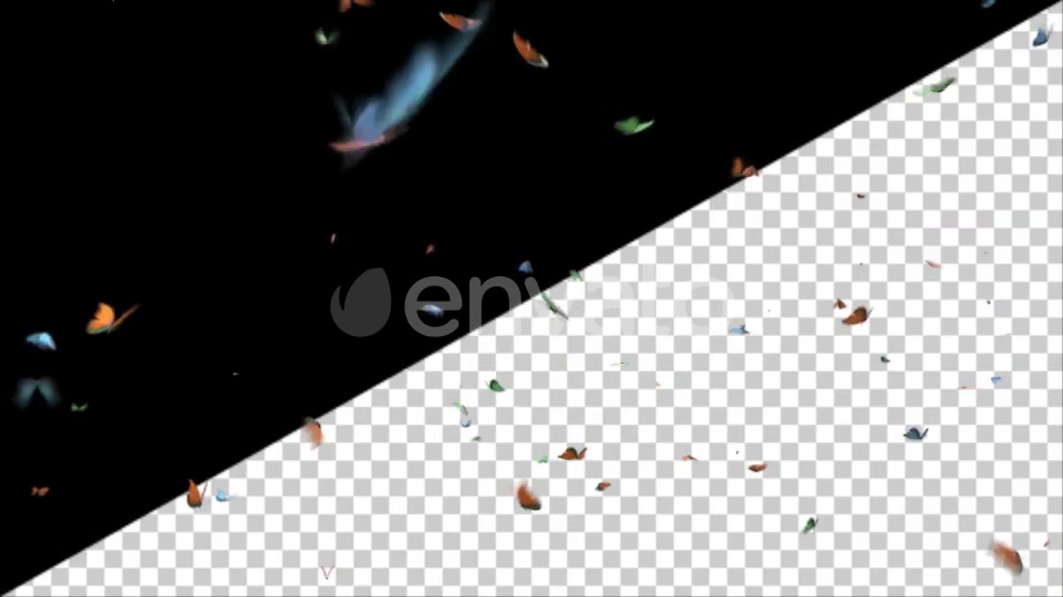 Butterflies Videohive 25132678 Motion Graphics Image 4