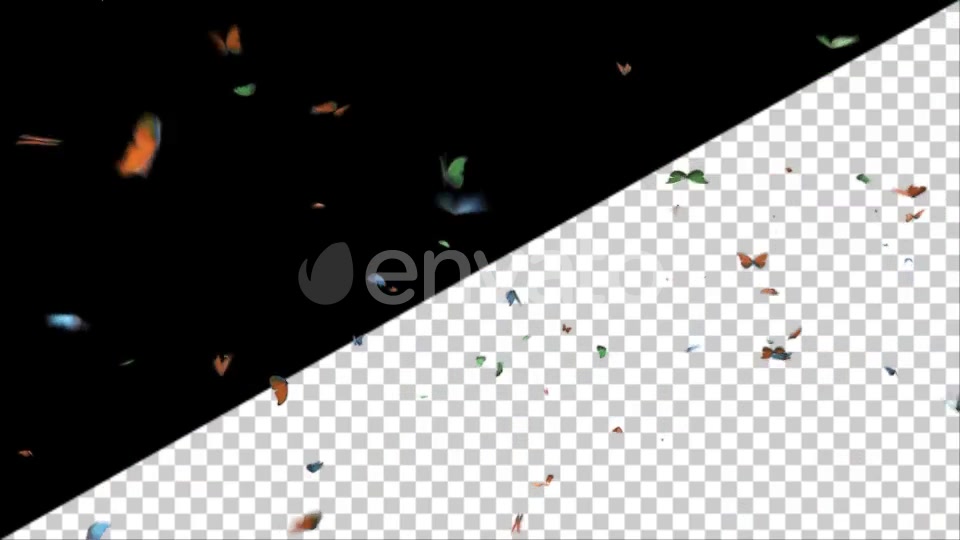 Butterflies Videohive 25132678 Motion Graphics Image 5