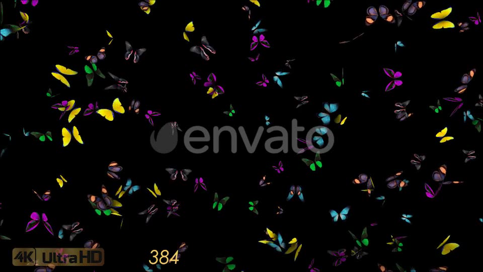 Butterflies Fly Away Videohive 21830073 Motion Graphics Image 2