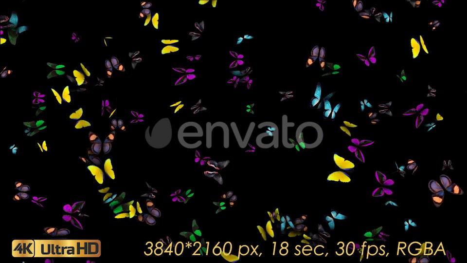 Butterflies Fly Away Videohive 21830073 Motion Graphics Image 4