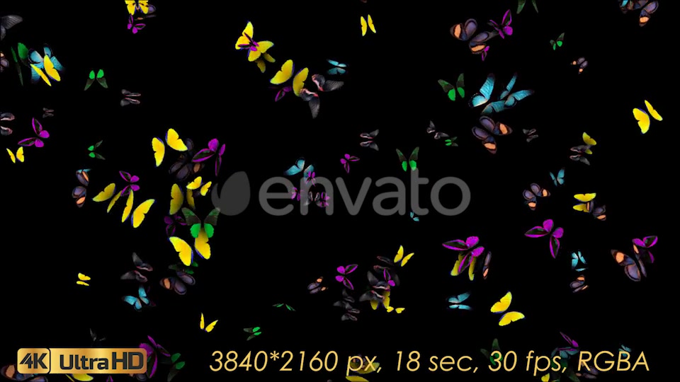 Butterflies Fly Away Videohive 21830073 Motion Graphics Image 5