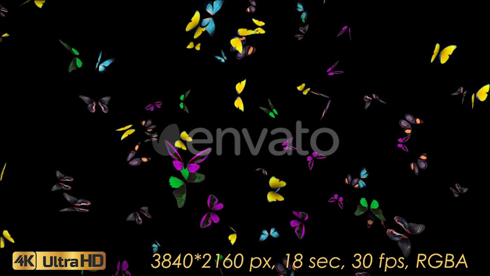 Butterflies Fly Away Videohive 21830073 Motion Graphics Image 7