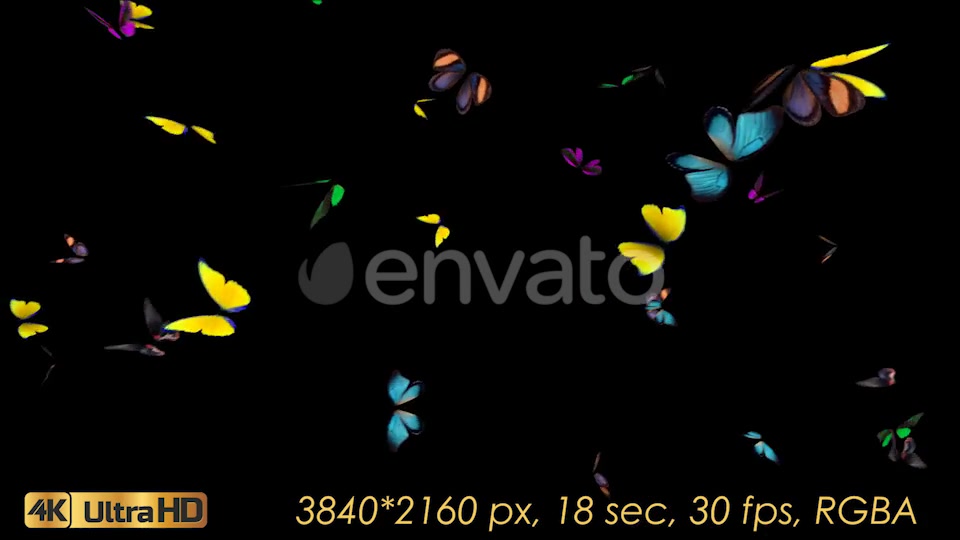 Butterflies Fly Away Videohive 21830073 Motion Graphics Image 8