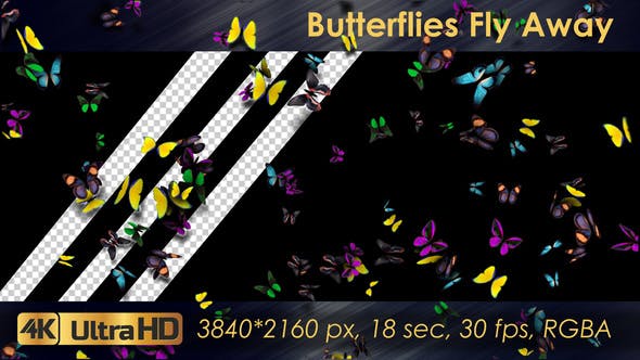 Butterflies Fly Away - 21830073 Videohive Download