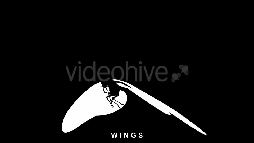 Butterfly Flapping Wings Videohive 20162728 Motion Graphics Image 10
