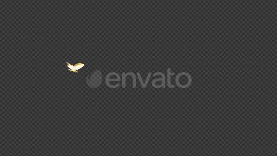 Butterfly Golden Flying Around Videohive 22089474 Motion Graphics Image 7