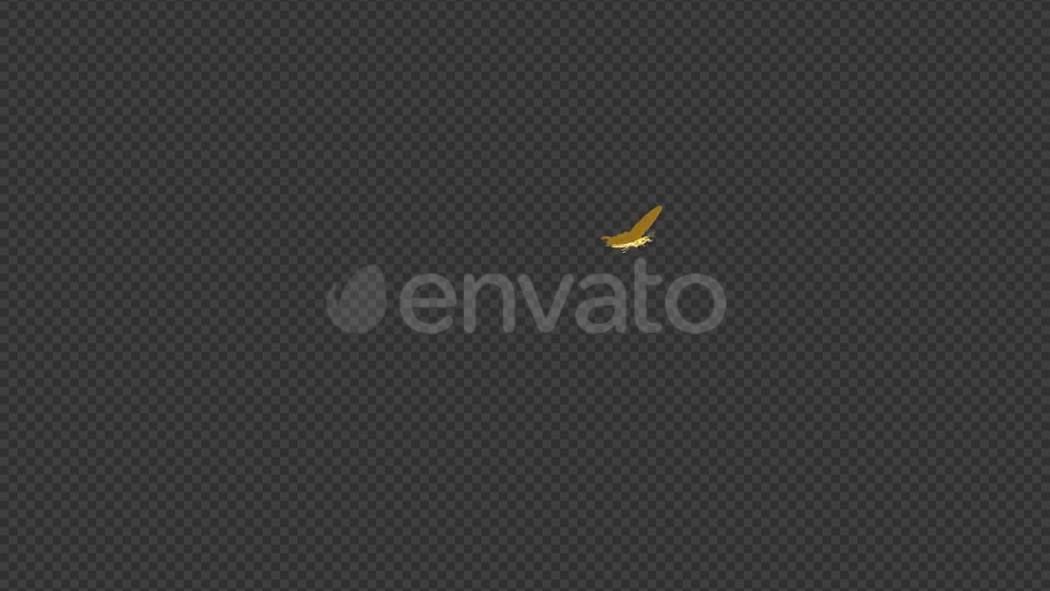 Butterfly Golden Flying Around Videohive 22089474 Motion Graphics Image 8