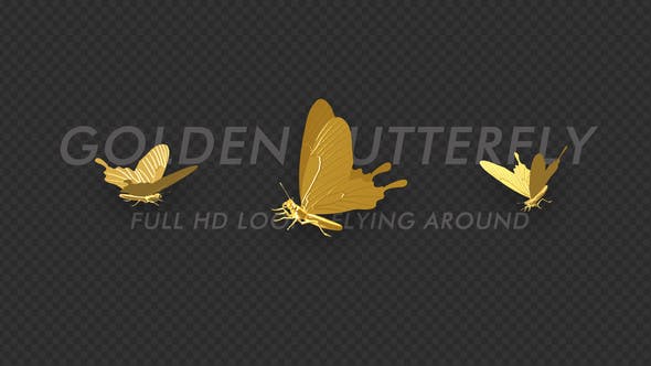 Butterfly Golden Flying Around - Videohive Download 22089474