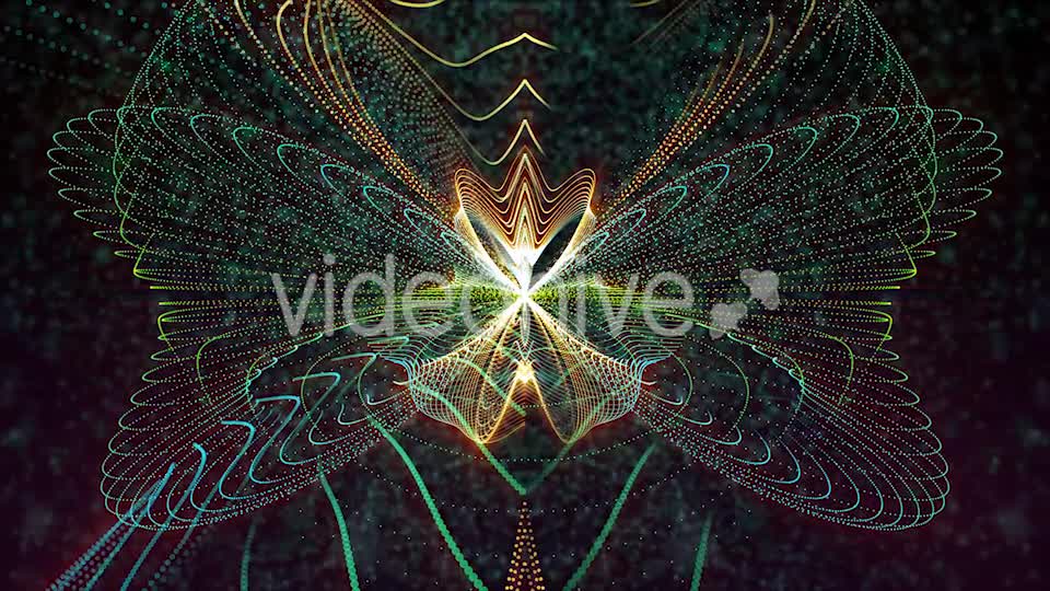 Butterfly Particles Videohive 19832813 Motion Graphics Image 1