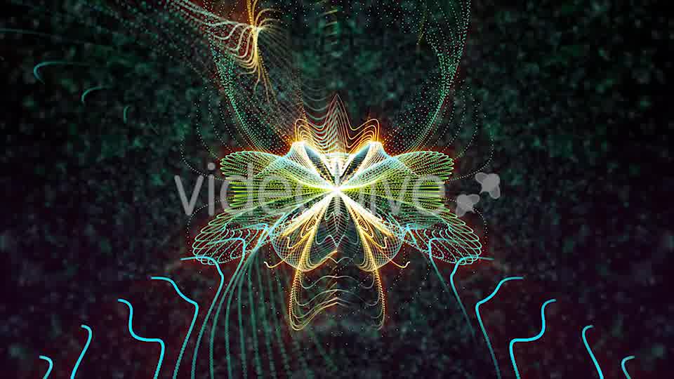 Butterfly Particles Videohive 19832813 Motion Graphics Image 10