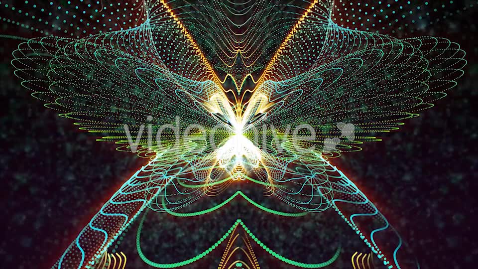Butterfly Particles Videohive 19832813 Motion Graphics Image 2